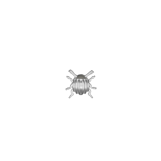 XL Beetle Pin