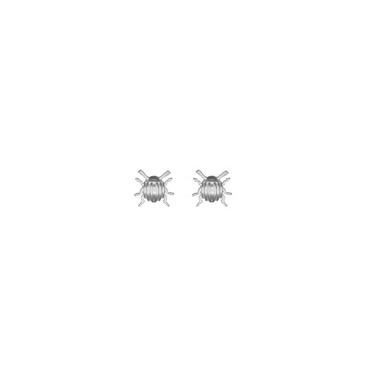 Tiny Beetle Earrings